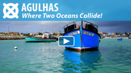 WATCH THE VIDEO: Welcome to Agulhas!